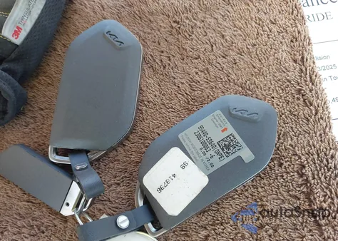 2024 Kia Telluride Ex X-Line from USA, damaged, VIN 5XYP3DGC1RG418796